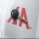 KMHCN4AC5AU491976 2010 Hyundai Accent Gls auction photo thumbnail 11