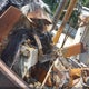 XXXXXXXXXXXX25879 2008 Kubota Other auction photo thumbnail 7