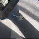 4F4CR16X5RTN04849 1994 Mazda B4000 Cab Plus auction photo thumbnail 11