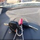 1FMCU0GD6HUA12325 2017 Ford Escape Se auction photo thumbnail 11