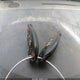 2C4RDGCG4KR541932 2019 Dodge Grand Caravan Sxt auction photo thumbnail 11