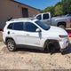 1C4PJLCB3HW669544 2017 Jeep Cherokee Latitude Fwd auction photo thumbnail 13