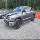 5TFEW5F11HX218212 2017 Toyota Tundra Sr5 5.7L V8 auction photo thumbnail 2