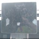 5YJ3E1EA7RF873202 2024 Tesla Model 3 Long Range Dual Motor All-Wheel Drive/Rear-Wheel Drive auction photo thumbnail 7