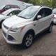 1FMCU0GX2DUD47179 2013 Ford Escape Se auction photo thumbnail 2