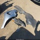 5NPD84LF8HH180943 2017 Hyundai Elantra Se auction photo thumbnail 12