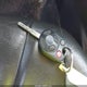 1FADP3K25GL398415 2016 Ford Focus Se auction photo thumbnail 11
