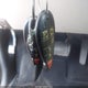 2C4RC1BG4ER468549 2014 Chrysler Town & Country Touring auction photo thumbnail 11