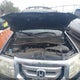 5FNYF3H25AB023317 2010 Honda Pilot Lx auction photo thumbnail 10