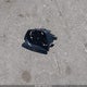 5NPLS4AG6PH093209 2023 Hyundai Elantra Sel auction photo thumbnail 12