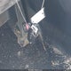 KNDPBCAC1F7709541 2015 Kia Sportage Lx auction photo thumbnail 11