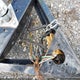 5JW1U1010K1253575 2019 Sure-Trac Utility Trailer auction photo thumbnail 7