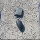 1FADP3E23EL336570 2014 Ford Focus S auction photo thumbnail 12