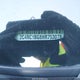 2C4RC1BG8HR753078 2017 Chrysler Pacifica Touring Plus auction photo thumbnail 18