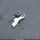 KNDPN3AC3M7921524 2021 Kia Sportage Ex auction photo thumbnail 12