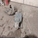 2GNFLHE36F6331157 2015 Chevrolet Equinox Ltz auction photo thumbnail 12