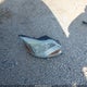 1FADP3K24EL213882 2014 Ford Focus Se auction photo thumbnail 12