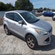 1FMCU0G90DUD36697 2013 Ford Escape Se auction photo thumbnail 1