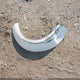 1D4PU5GK3BW572075 2011 Dodge Nitro Sxt auction photo thumbnail 12