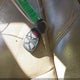 1GKUCEEF1AR118322 2010 GMC Yukon Denali auction photo thumbnail 11
