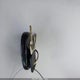 1G6ET1299WU613236 1998 Cadillac Eldorado Touring auction photo thumbnail 11