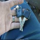 1N6AD06W65C434009 2005 Nissan Frontier Se auction photo thumbnail 11
