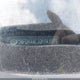 5NPDH4AE3GH743079 2016 Hyundai Elantra Se auction photo thumbnail 9