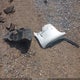 2G4GT5GX0F9155096 2015 Buick Regal Gs auction photo thumbnail 12