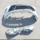 4T1BF1FK9FU036806 2015 Toyota Camry Se auction photo thumbnail 12