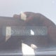 5NPEB4AC4BH184820 2011 Hyundai Sonata Se auction photo thumbnail 9