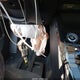 KNDCR3LE0P5108868 2023 Kia Niro Ex auction photo thumbnail 11