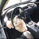 SAJAE4BV2HA958909 2017 Jaguar Xe 35T Prestige auction photo thumbnail 20