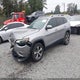 1C4PJMDX5KD435294 2019 Jeep Cherokee Limited auction photo thumbnail 2
