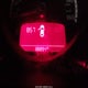 3VWF17AT2FM630968 2015 Volkswagen Beetle 1.8T Fleet Edition auction photo thumbnail 7