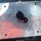 WDBTJ65JX5F139456 2005 Mercedes-Benz Clk 320 auction photo thumbnail 11