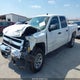 2GCEC13CX91132953 2009 Chevrolet Silverado 1500 Ls auction photo thumbnail 2