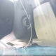 19XFB2F86DE003902 2013 Honda Civic Ex auction photo thumbnail 11