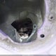 1B7GG23Y8VS187636 1997 Dodge Dakota Slt/Sport auction photo thumbnail 6