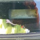 1FTSW20516EB02613 2006 Ford F-250 Lariat/Xl/Xlt auction photo thumbnail 9