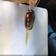 JTDKDTB31F1582909 2015 Toyota Prius C Two auction photo thumbnail 11
