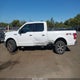 1FTFW1E42LKF22261 2020 Ford F-150 Xlt auction photo thumbnail 14