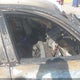 5XXGT4L37GG055458 2016 Kia Optima Lx auction photo thumbnail 5