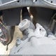 3AKJGEDR4JSJT2505 2018 Freightliner Cascadia 125 auction photo thumbnail 20