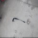 WBA3C1C57EK113681 2014 BMW 328I auction photo thumbnail 12