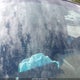 SHSRD78843U152408 2003 Honda Cr-V Ex auction photo thumbnail 12