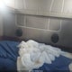 3HSCHAPR24N017502 2004 International 9900 9900I auction photo thumbnail 6