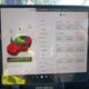 5YJ3E1EA6SF882589 2025 Tesla Model 3 Long Range Rear-Wheel Drive auction photo thumbnail 7
