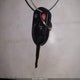 3FAHP0HG9AR108933 2010 Ford Fusion Se auction photo thumbnail 11