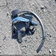 3GNKBBRA4KS695290 2019 Chevrolet Blazer auction photo thumbnail 12