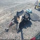 2HGFE2F53NH515024 2022 Honda Civic Sport auction photo thumbnail 12